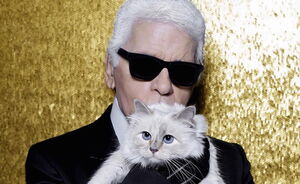 Je kunt nu Choupette de kat van Karl Lagerfeld kopen
